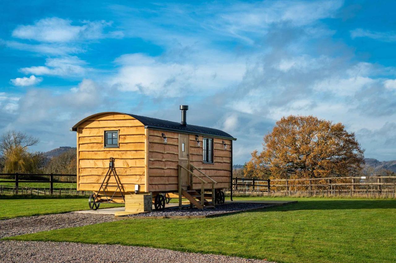 Monkwood Shepherds Hut - Ockeridge Rural Retreats Worcester Luaran gambar